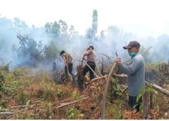 BABINSA KORAMIL 1011-08/MENTANGAI BERSAMA INSTANSI TERKAIT PADAMKAN KARHUTLA