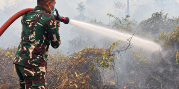 TIM SATGAS KARHUTLA KODIM 1011/KLK MASIH TERUS LAKUKAN PEMADAMAN DI DESA TANJUNG TARUNA