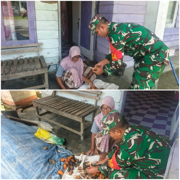 Bukan Hanya Saat di Kebun, Babinsa Simeulue Dampingi Petani Tangani Pinang Pascapanen