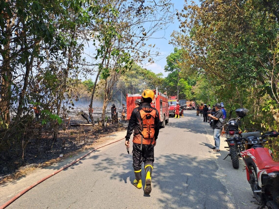 Karhutla di Dua Wilayah Tapin Dipadamkan, Total Lahan Terbakar Capai 1,7 Hektare