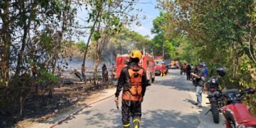 Karhutla di Dua Wilayah Tapin Dipadamkan, Total Lahan Terbakar Capai 1,7 Hektare