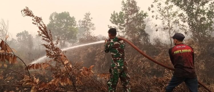 TIM KARHUTLA KODAM XXII/TB BESERTA RELAWAN MASIH PADAMKAN API DI KELURAHAN BUKIT TUNGGAL