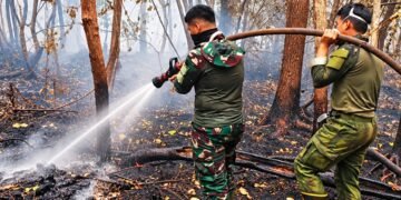 TIM SATGAS KARHUTLA KODIM 1011/KLK BESERTA RELAWAN LAKUKAN PEMADAMAN DAN PENDINGINAN DI DESA TJ. TARUNA