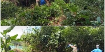 Dari Parit hingga Bahu Jalan, Warga Amaiteng Bangun Kepedulian Lewat Gotong Royong