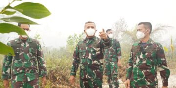 KASDAM XXII/TAMBUN BUNGAI TINJAU PENANGANAN KARHUTLA DI PALANGKA RAYA