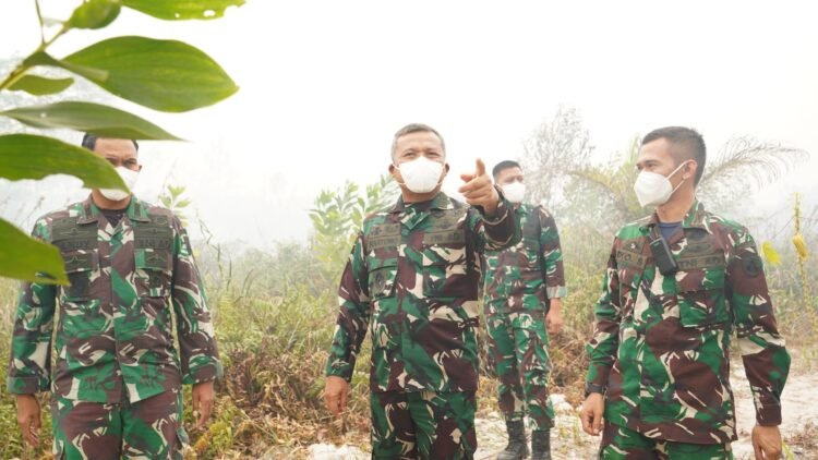 KASDAM XXII/TAMBUN BUNGAI TINJAU PENANGANAN KARHUTLA DI PALANGKA RAYA