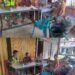 Dari Memberi Pakan hingga Komsos, Serda Haswin Ikuti Aktivitas Peternak di Suak Timah