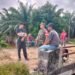 Petani Gampong Harapan Sampaikan Persoalan Pertanian kepada Babinsa Koramil 05/Panga