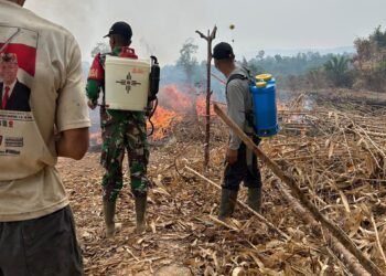 Koramil 1203-14/Jelai Hulu Tangani Karhutla, Cegah Kebakaran Meluas