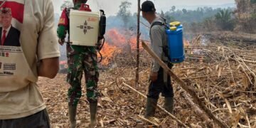 Koramil 1203-14/Jelai Hulu Tangani Karhutla, Cegah Kebakaran Meluas