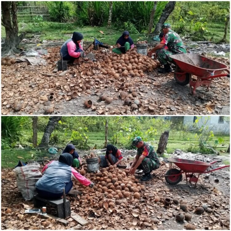Dari Kelapa hingga Kopra, Aktivitas Warga Salur Latun Jadi Ruang Babinsa Berbagi Tenaga