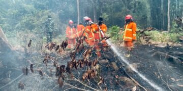 Siang dan Malam, Kodim 1203/Ketapang Terus Lakukan Penanganan Karhutla