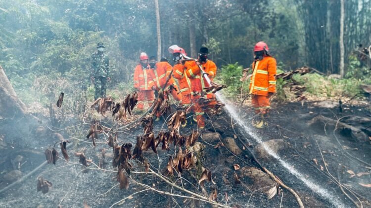 Siang dan Malam, Kodim 1203/Ketapang Terus Lakukan Penanganan Karhutla