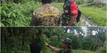 Cegah Karhutla, Babinsa Kodim 0115/Simeulue Sosialisasikan Cara Aman Kelola Lahan