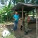 Kodim 0114/Aceh Jaya Dukung Ketahanan Pangan melalui Pendampingan Petani Pepaya