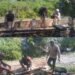 Kodim 0105/Aceh Barat Perkuat Kebersamaan melalui Gotong Royong di Desa Babah Iseung