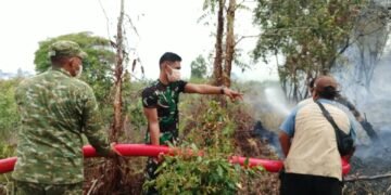 ‎Cepat Bertindak, Kodim 1005/Barito Kuala Berhasil Selamatkan Lahan dari Kobaran Api