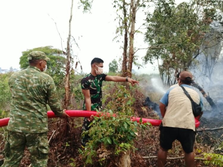 Cepat Bertindak, Kodim 1005/Barito Kuala Berhasil Selamatkan Lahan dari Kobaran Api