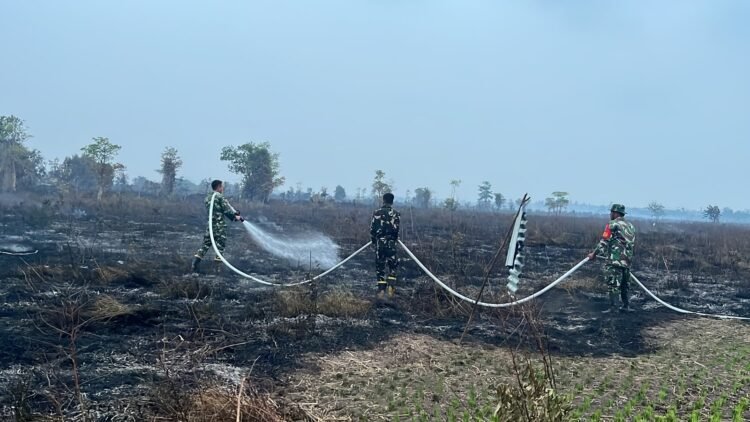 Cegah Api Kembali Menyala, Kodim 1203/Ketapang Laksanakan Pendinginan Lahan Bekas Karhutla