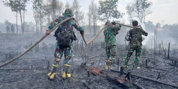 Hadapi Angin Kencang dan Keterbatasan Air, Petugas Tuntaskan Pemadaman Karhutla di Liang Anggang