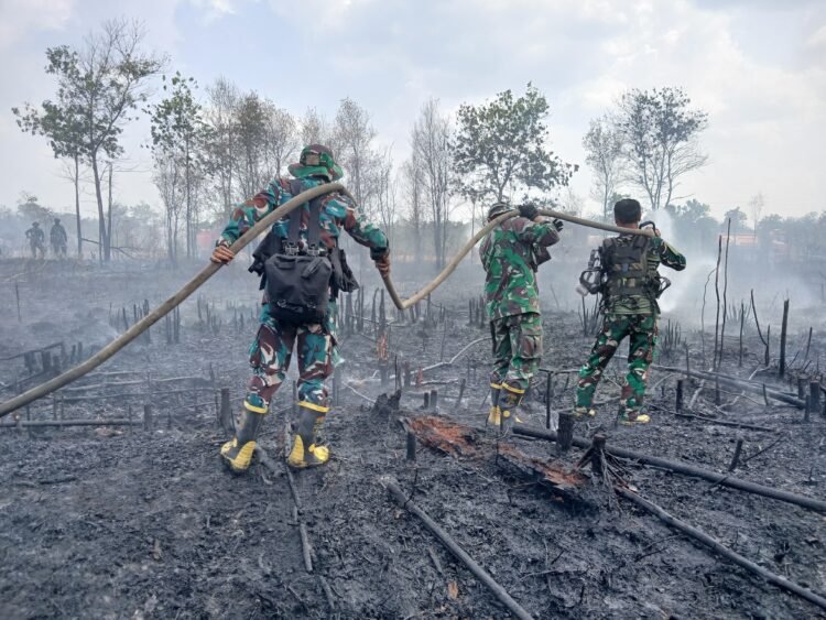 Hadapi Angin Kencang dan Keterbatasan Air, Petugas Tuntaskan Pemadaman Karhutla di Liang Anggang